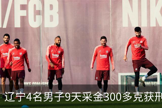 辽宁4名男子9天采金300多克获刑，村里砂土为何能淘金？土法筛金对人体和环境有何危害？